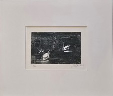 Original Signed And Mounted Limited Edition Etching Newlyn Swans By Ian Laurie.