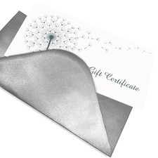 Blank Gift Vouchers, Blank Gift Certificates Cards with Envelopes - DL Size
