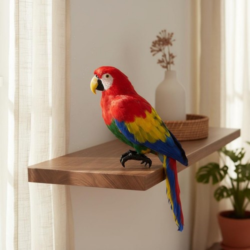 Realistic parrot model - parrot,