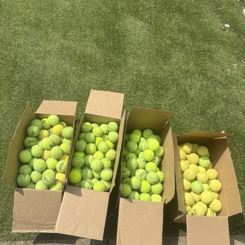 Pack tennis balls mixed - balls,