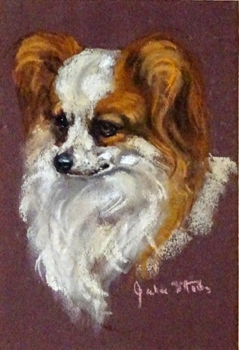 Papillon french dog - french,