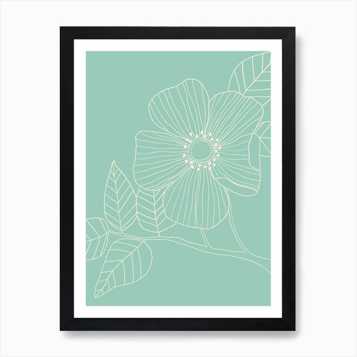 Duck egg blue - duck,
