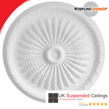 Lightweight Polyurethane Ornate Decorative Ceiling Rose – Frecce Piumate 91cm