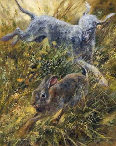 Mick cawston rabbiting - mick,