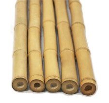 2ft-6ft-7ft Large Bamboo Canes