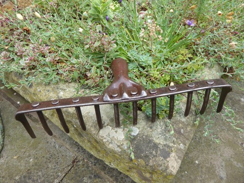 Vintage rake head garden - vintage, head,