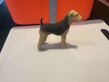 Airedale/Welsh/Lakeland