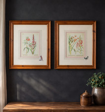 Vintage Country Diary