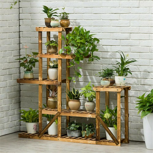 Wood flower display plant - flower,