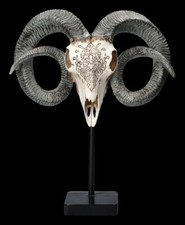 Ram Skull - Adorned with Stand