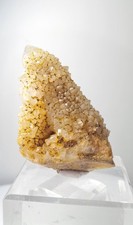 Cactus Quartz 
