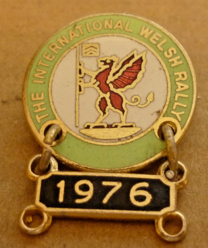 Vintage enamel badge the - badge,