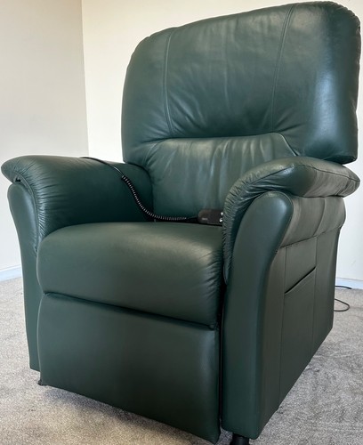 Luxury leather electric - luxury,