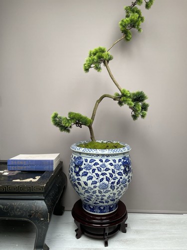 Chinese blue white - xl,