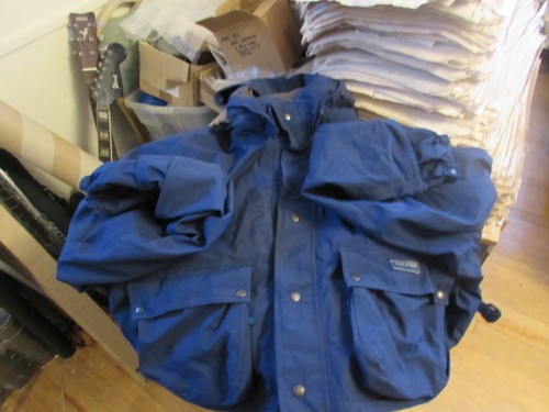 Stunning rare blue hardy - rare,