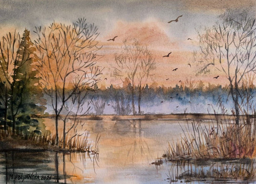Birds flying foggy forest bob - birds,