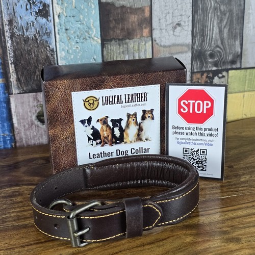 Elegant logical leather - elegant, dog