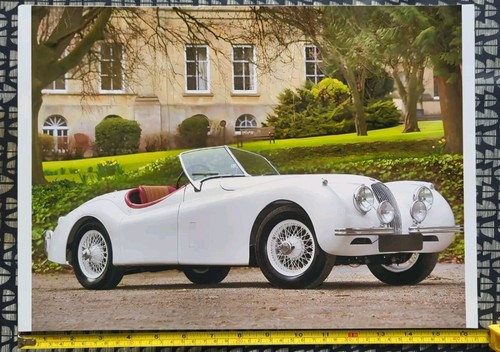 Jaguar xk120 roadster 1954 - jaguar, |