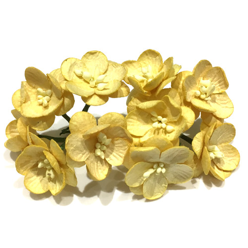 Golden yellow mulberry paper - mulberry,