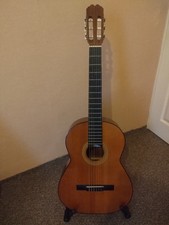 Acoustic  Spanish Guitar