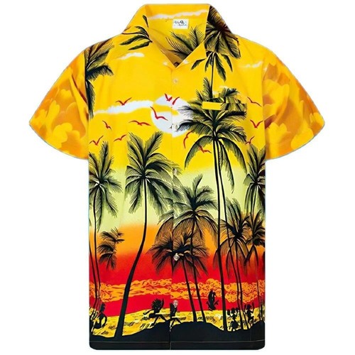 Mens hawaiian shirt 5xl - shirt,