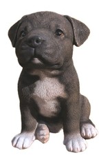 STAFFORDSHIRE BULL TERRIER