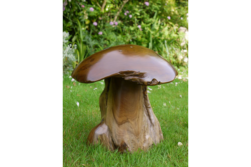 Teak root mushroom sculpture - root,