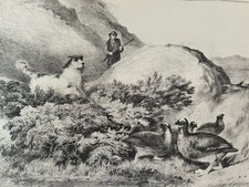 Antique Print c1880s Grouse Shooting Hunting Dogs British Field Sports Victorian