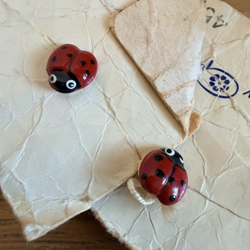 Ladybird buttons bnwt - x,