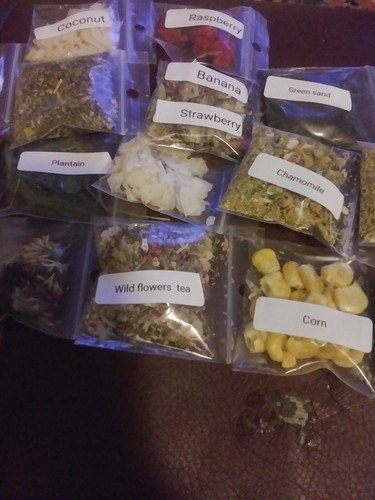 Land hermit crab food - crab, food/treat'
