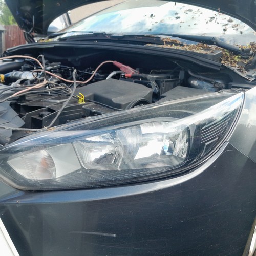 Headlight ford focus - headlight,