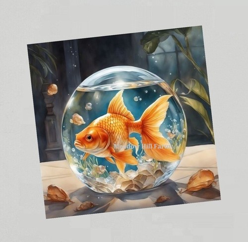 Fridge magnet goldfish - fridge, classic