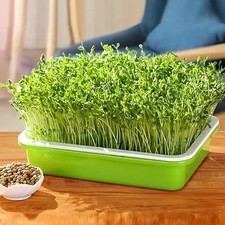 Microgreens Seed Seedling Tray