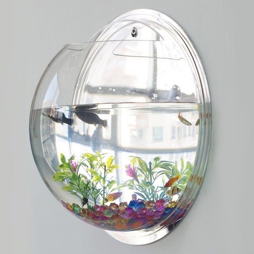 Wall mounted hanging fish - wall,