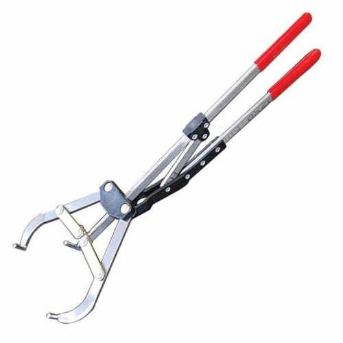 Tri bander castrate bulls - xl,
