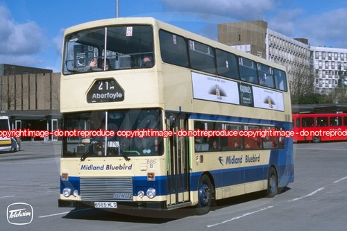Bus photo midland - photo, bluebird