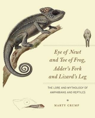 Eye newt and - eye, toe