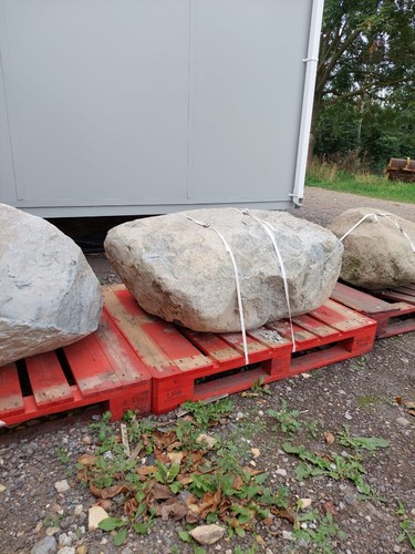 Glacial boulders - glacial,