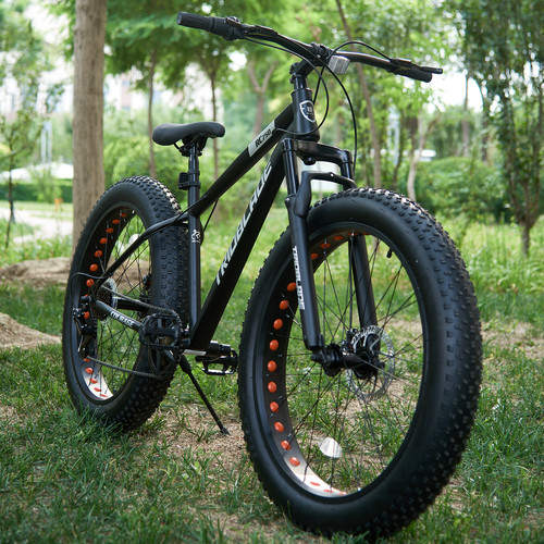Wheel mountain bike fat - bike,