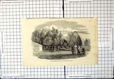 Old Antique Print The Great