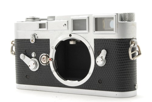 Cla black lizard almost - black,