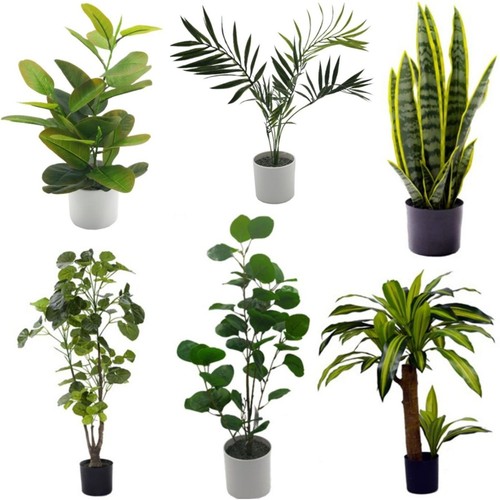 Artificial house plant - plant, pot