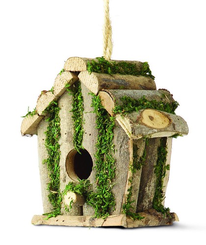 Wild bird square - bird, hut