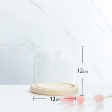 Glass Dome Display Bell Jar Cloche w/ Wood Base Figure Action Doll Storage Decor