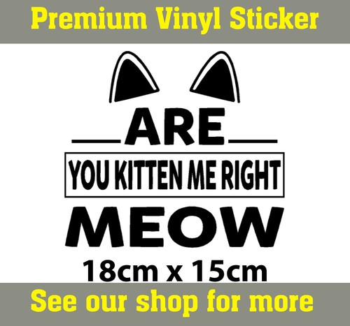 Are you kitten - me, right