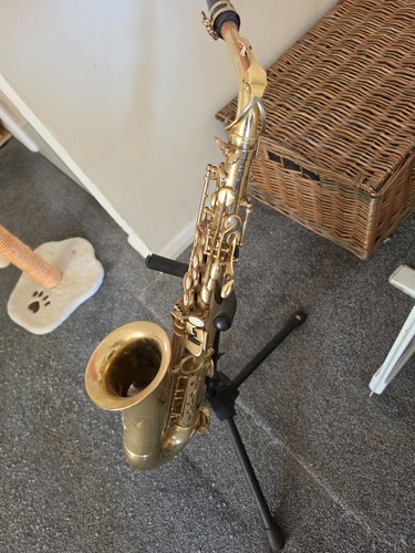 Trevor james alto saxophone - trevor,