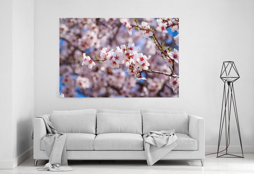 Canvas print framed - canvas,