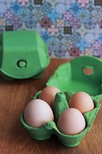 Henpac Green 4-Egg Boxes fits