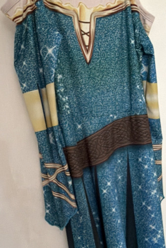 Long sleeve dress costume - long,
