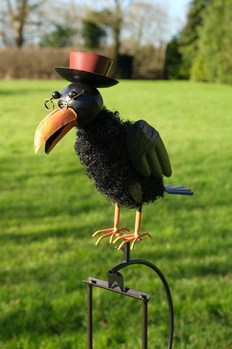 Rocking balancing dad crow - balancing,